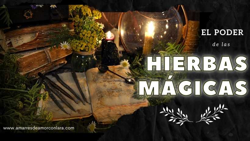 Hierbas Mágicas