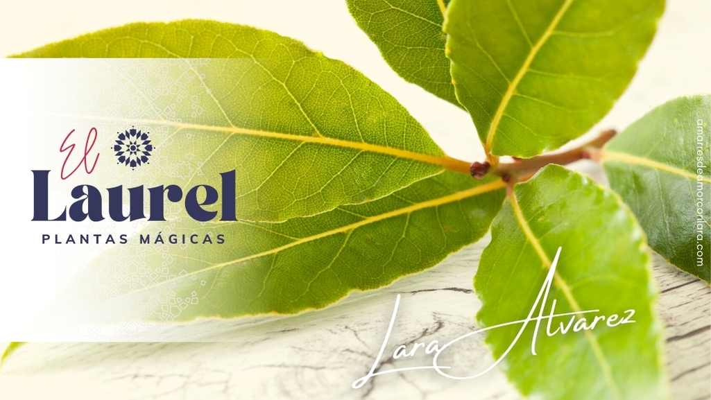 El Laurel