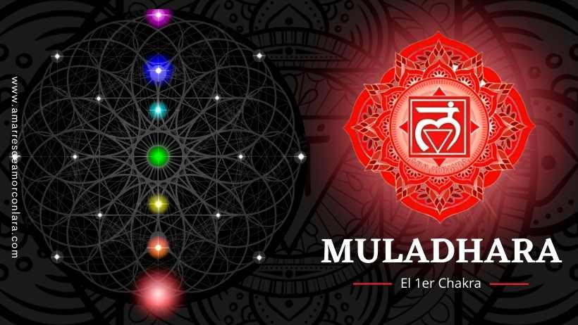 Muladhara - 1er Chakra