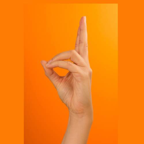 prana mudra